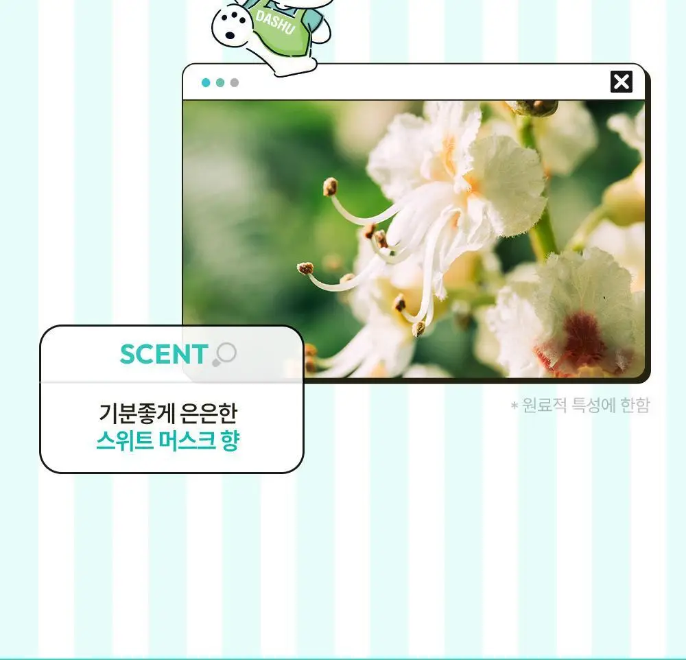 [포차코콜라보] 다슈 데일리 볼륨업 컬크림 150ml 에디션 (+헤어핀 2P 증정) 상세페이지 23